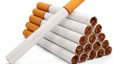 دراسة عن التدخين