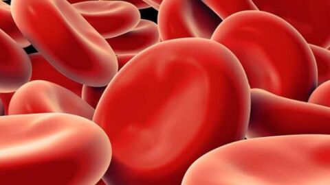 طرق معالجة فقر الدم
