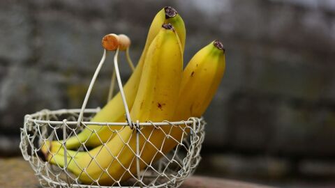 فوائد الموز للحامل في الشهر الأول