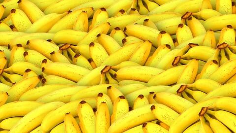 فاكهة الموز وفوائدها