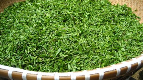 فوائد ومضار الشاي الأخضر