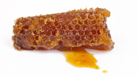 فوائد صمغ عسل النحل