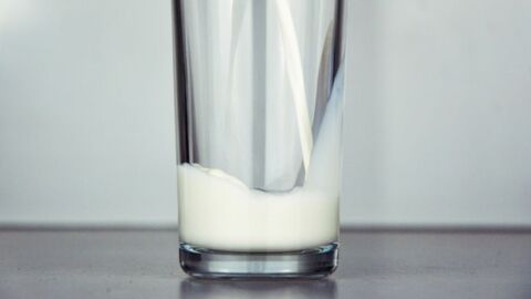 فوائد شرب الحليب للرجيم