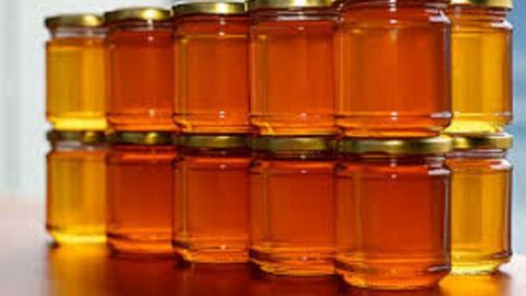فوائد عسل الكالبتوس