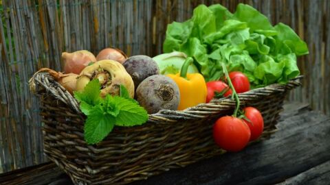 فوائد الفواكه والخضروات للحامل