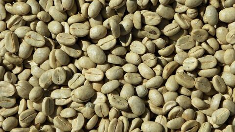 فوائد القهوة الخضراء المطحونة