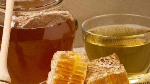 فوائد العسل مع الماء الدافئ