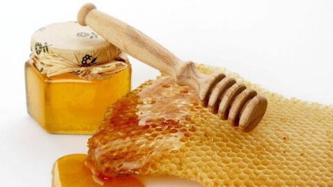 فوائد عسل النحل السدر الجبلي