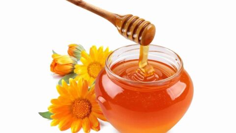 فوائد عسل البردقوش