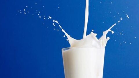 فوائد الحليب المبستر