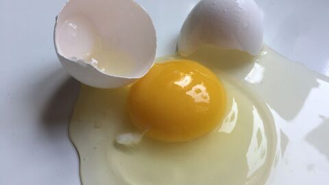 فوائد بياض البيض النيء