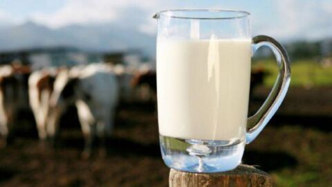 فوائد الحليب منزوع الدسم