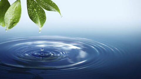 فوائد الماء في الطبيعة