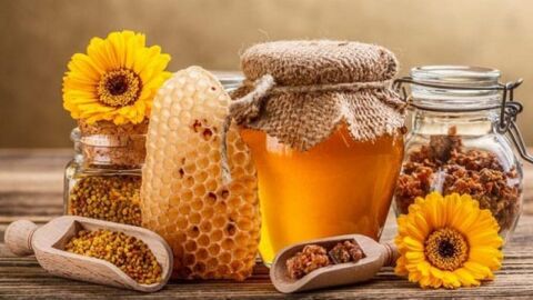 فوائد بذور الجرجير مع العسل