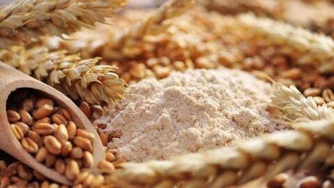 فوائد حبوب جنين القمح للحمل