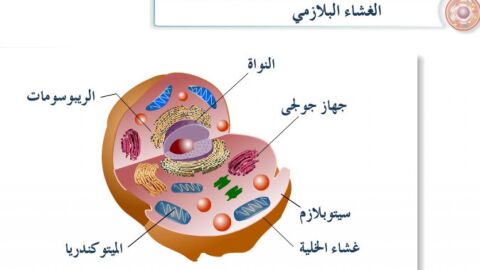 مكونات الخلية الحية