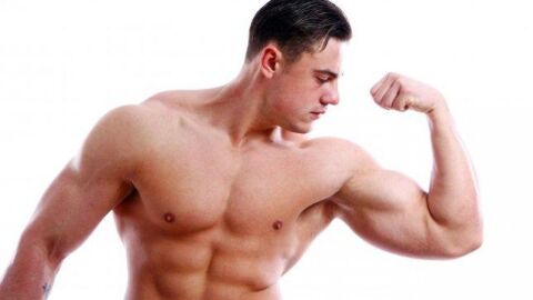 تحويل الدهون إلى عضلات