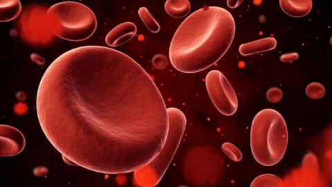 درجات فقر الدم
