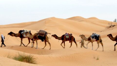 السياحة الصحراوية في تونس