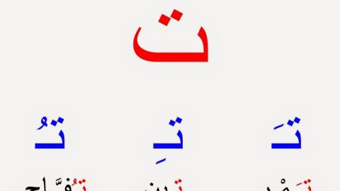 التشكيل في اللغة العربية