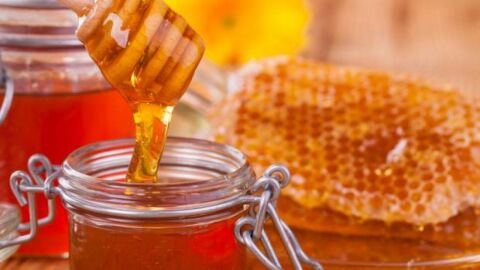 هل العسل يعالج القولون