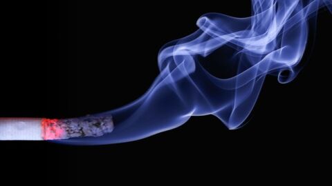 هل التدخين يضعف الجسم
