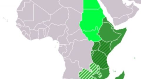 دول شرق أفريقيا