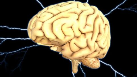 كهرباء المخ وأعراضها