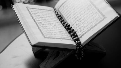 أمثلة الإقلاب في القرآن
