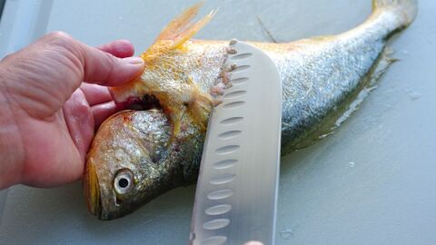 طريقة تنظيف السمك