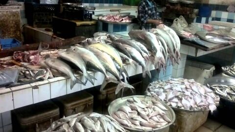صيد السمك في البحرين