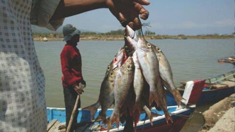 الصيد في ليبيا