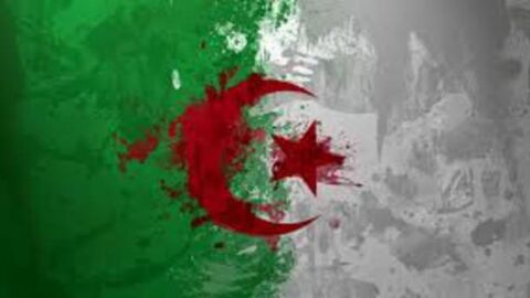 معلومات عامة عن دولة الجزائر
