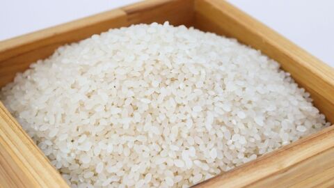 التخلص من سوس الأرز