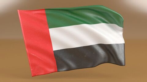 تاريخ اتحاد الإمارات