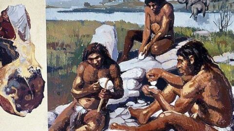 كيف عاش الإنسان في العصر الحجري القديم