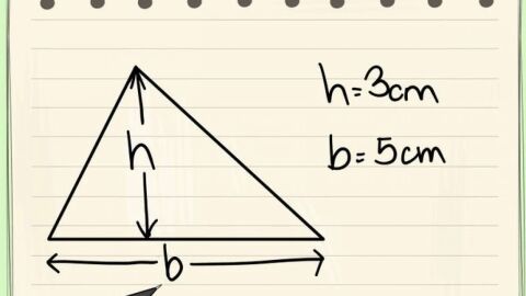 كيف أحسب ارتفاع المثلث