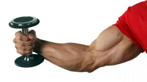 كيف أبرز عضلات اليد