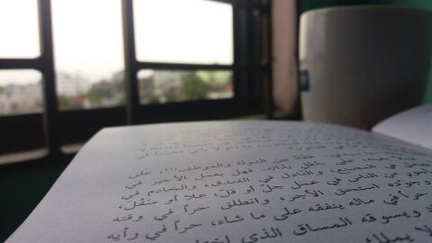 كيف أذاكر مادة اللغة العربية