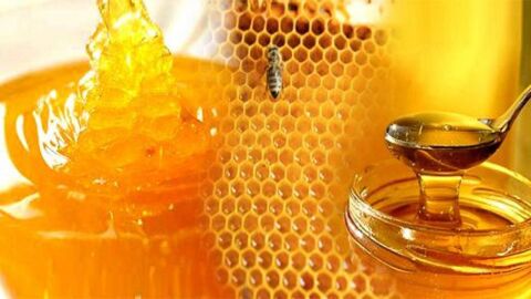 كيف تعرف العسل الحر