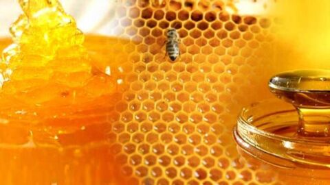 كيف تعرف أن العسل أصلي
