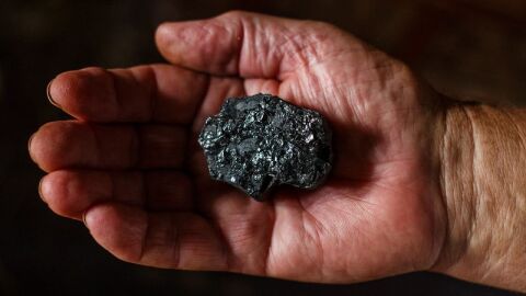 كيف يتكون الفحم الحجري