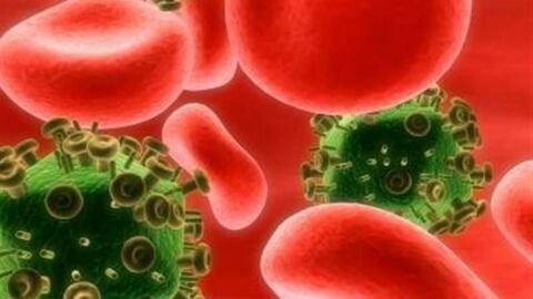 كيف ينتقل فيروس الكبد الوبائي