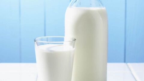 كيف يصنع الحليب