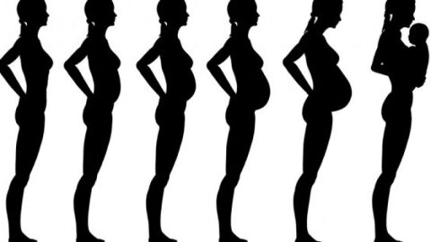 كيف يكون شكل البطن في بداية الحمل