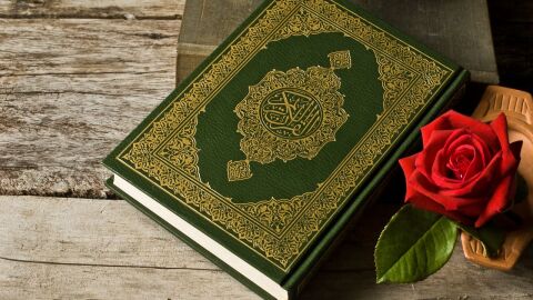ما عدد سور القرآن