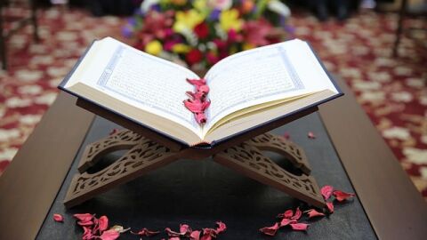 كم عدد سور القرآن الكريم المكية والمدنية
