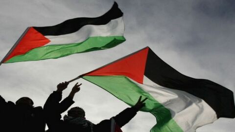 كم عدد محافظات فلسطين