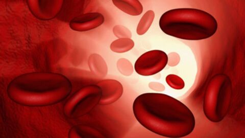 كم لتراً من الدم يحتوي جسم الإنسان