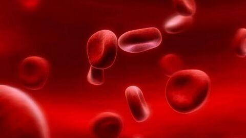 كم لتراً من الدم في جسم الإنسان